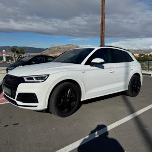 Audi SQ5 3.0 TDI V6 347cv (2020)
